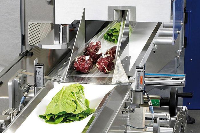 Horizontale Schlauchbeutelmaschine GSP 55 EVO – BB