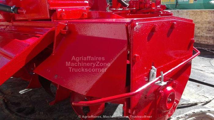 Usato 2008 Maschio
