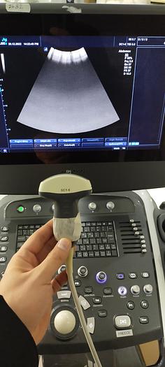 Gebraucht Alpinion SC1-6  Ultraschallsonde