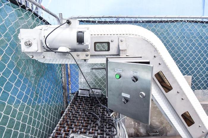 Used 176" Long x 8" Wide Food Grade Flighted Incline Conveyor