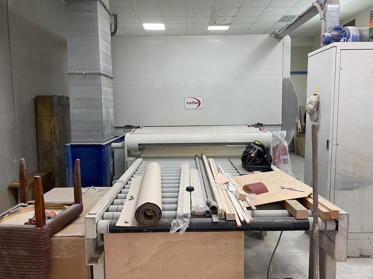 Usato Spruzzatrice oscillante CEFLA EASY D