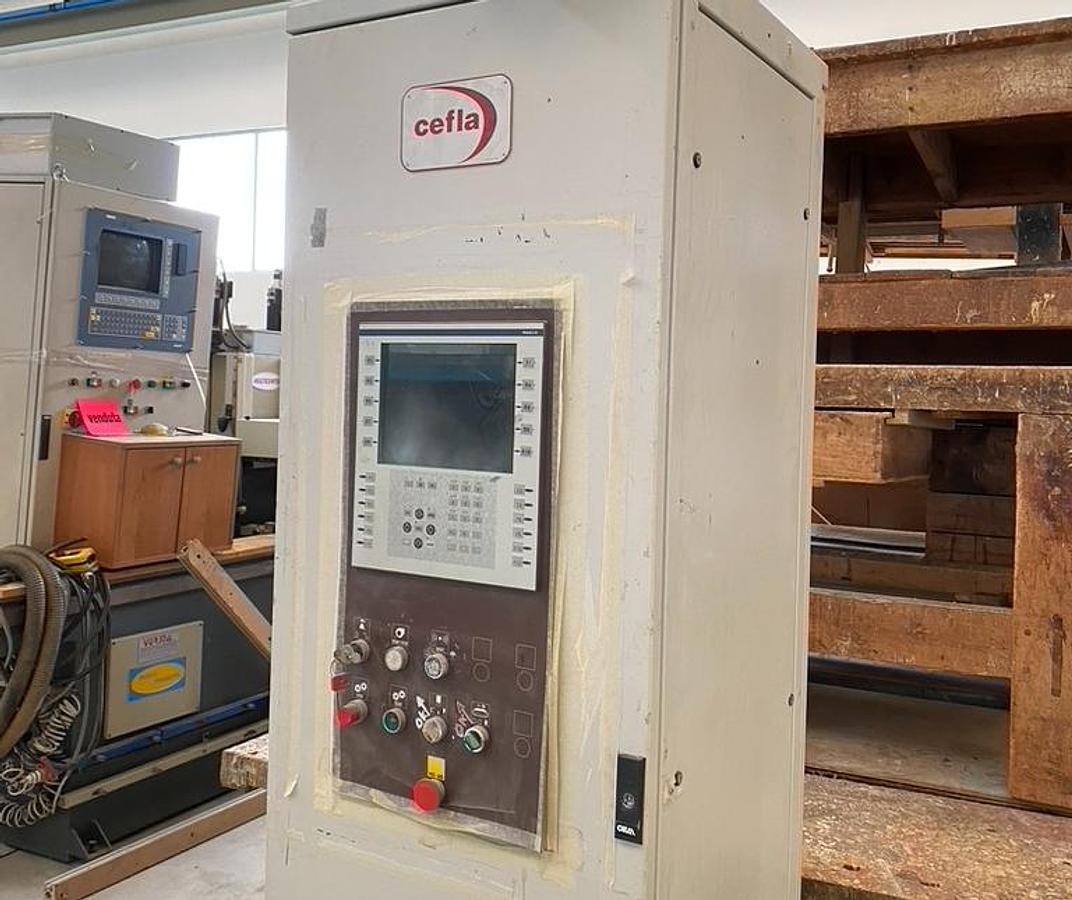 Usato Spruzzatrice oscillante CEFLA EASY D