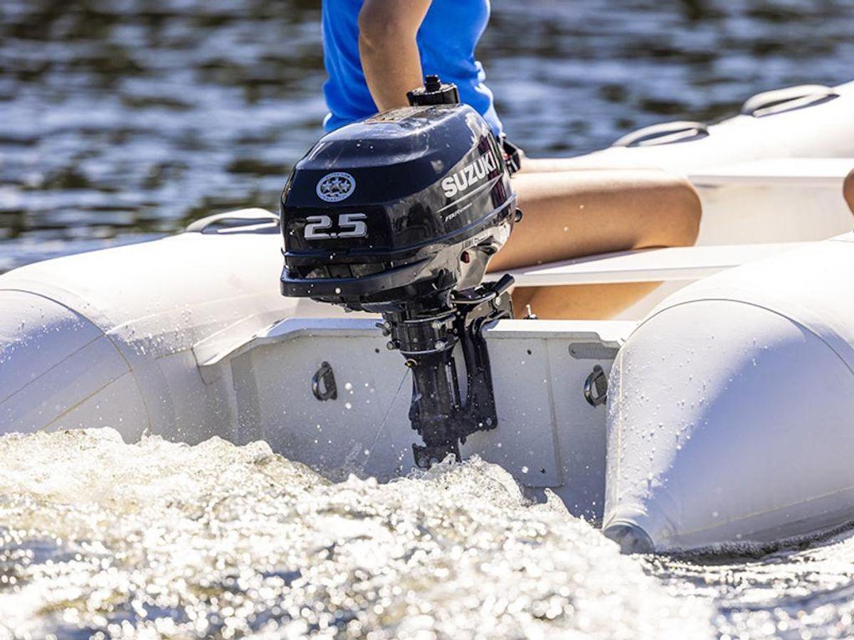 2025 Suzuki Marine DF2.5 S