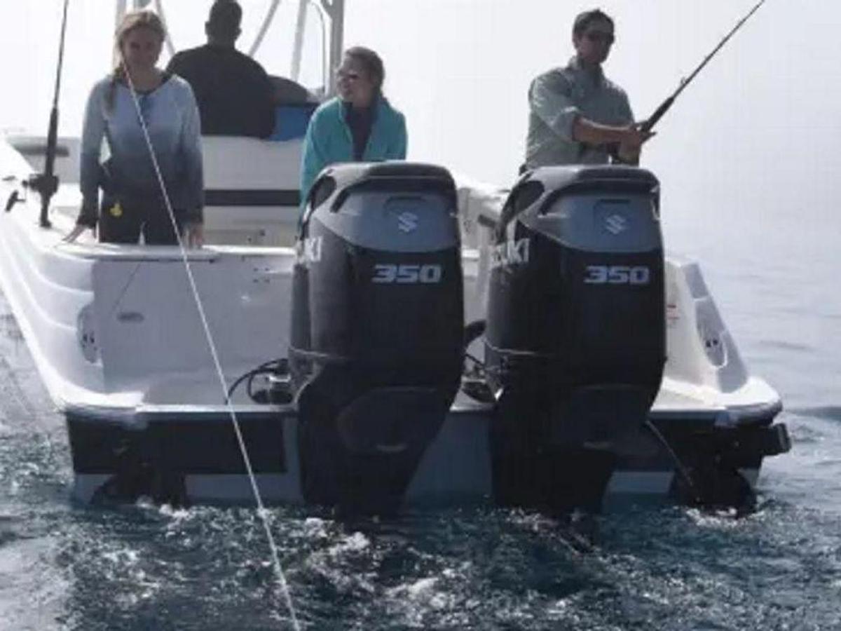 2025 Suzuki Marine DF350AMD Stealth XX