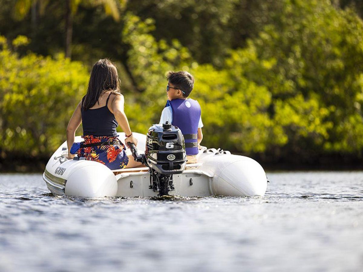 2025 Suzuki Marine DF6A S