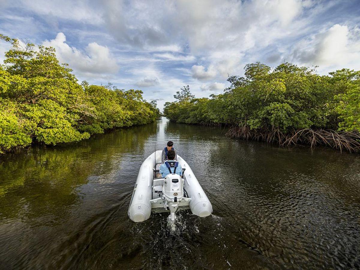 2025 Suzuki Marine DF30A EFI ATHL