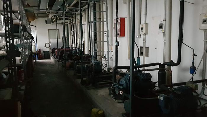 Usato Impianto di asciugatura e stagionatura per salumi, prosciutti e formaggi