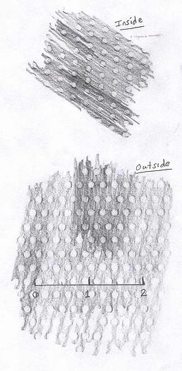 Used BLACK CLAWSON 24P #23583