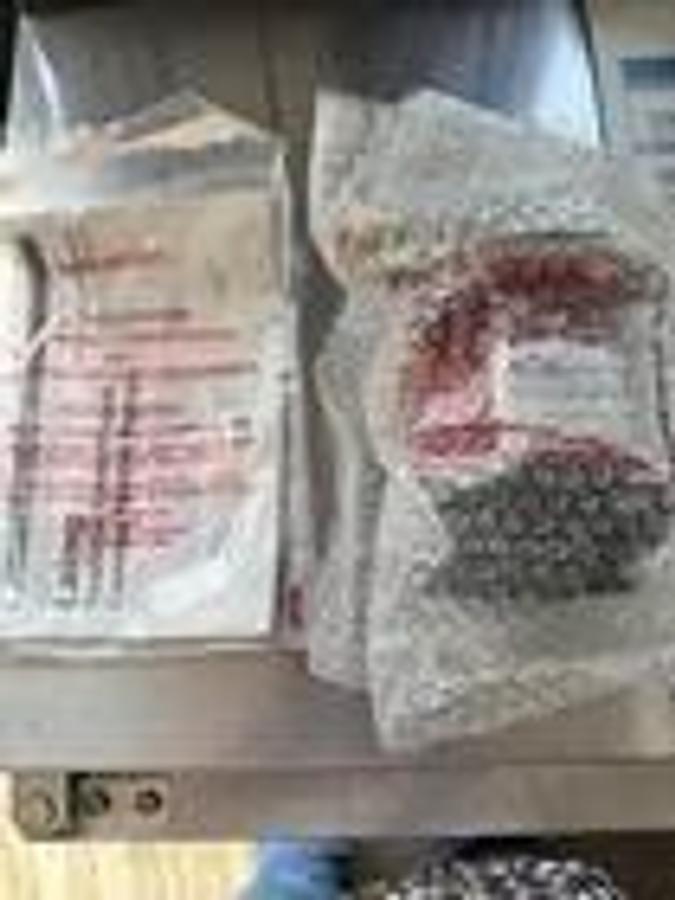 Used NEW Laing Thermotech Centrifugal Pump SM909-BS-18 SM909BS18 Circulation