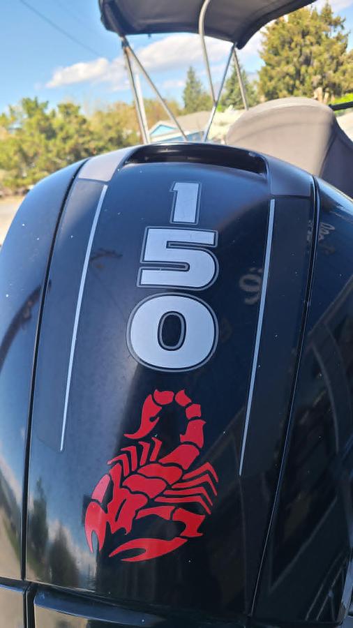 Used 2018 Smoker Craft 182 Pro Angler XL