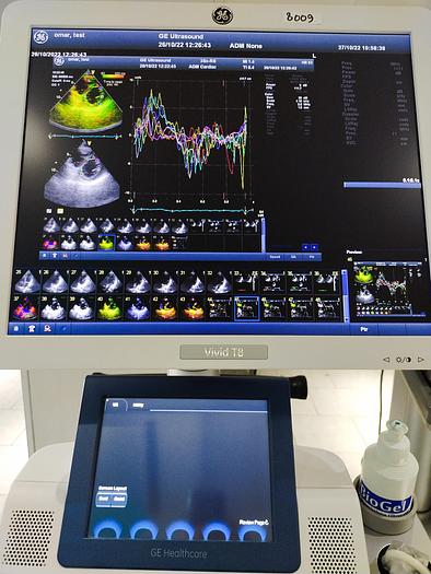 Gebraucht GE Vivid T8