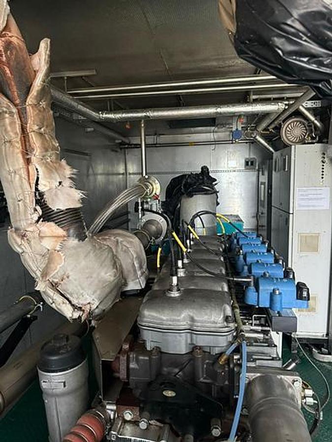 Scania Gas containerized 2x identical genset