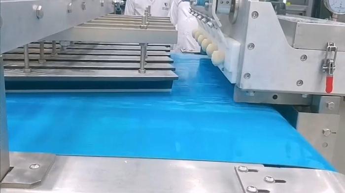 Used 2024 BME Bun and Roll Extrusion System 