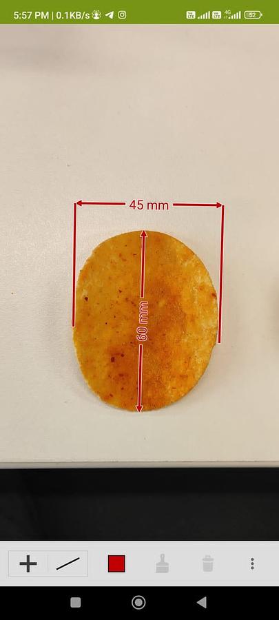 Used 2019 Pavan Pringles line