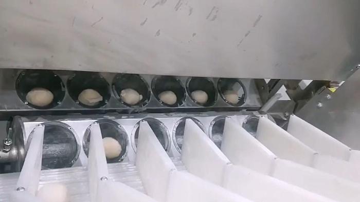 Used 2024 BME Bun and Roll Extrusion System 