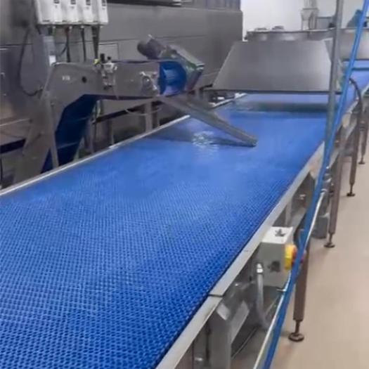 Used FULL SHEETED GLUTEN FREE BAKED CRACKER, BARS OR REGULAR TYPE PRODUCT