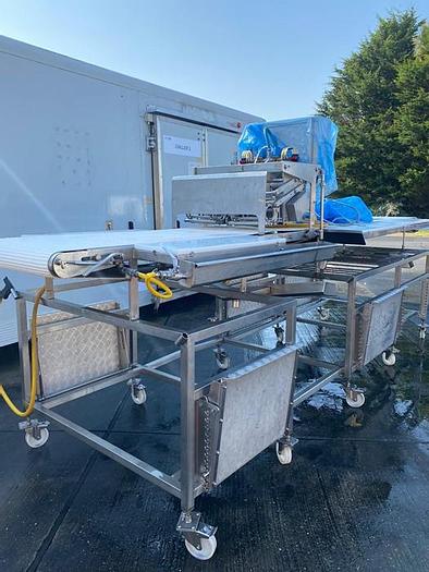 Used CARNITECH 4 MAN TRIMMING LINE WITH TWIN LANE PIN-BONER