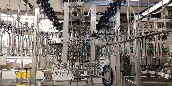 Used Systemate/Linco Evisceration Line