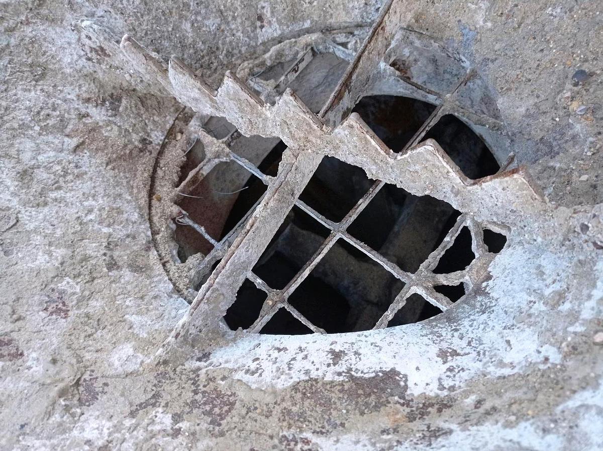 Gebraucht 2021 BMS Alpha CR BS