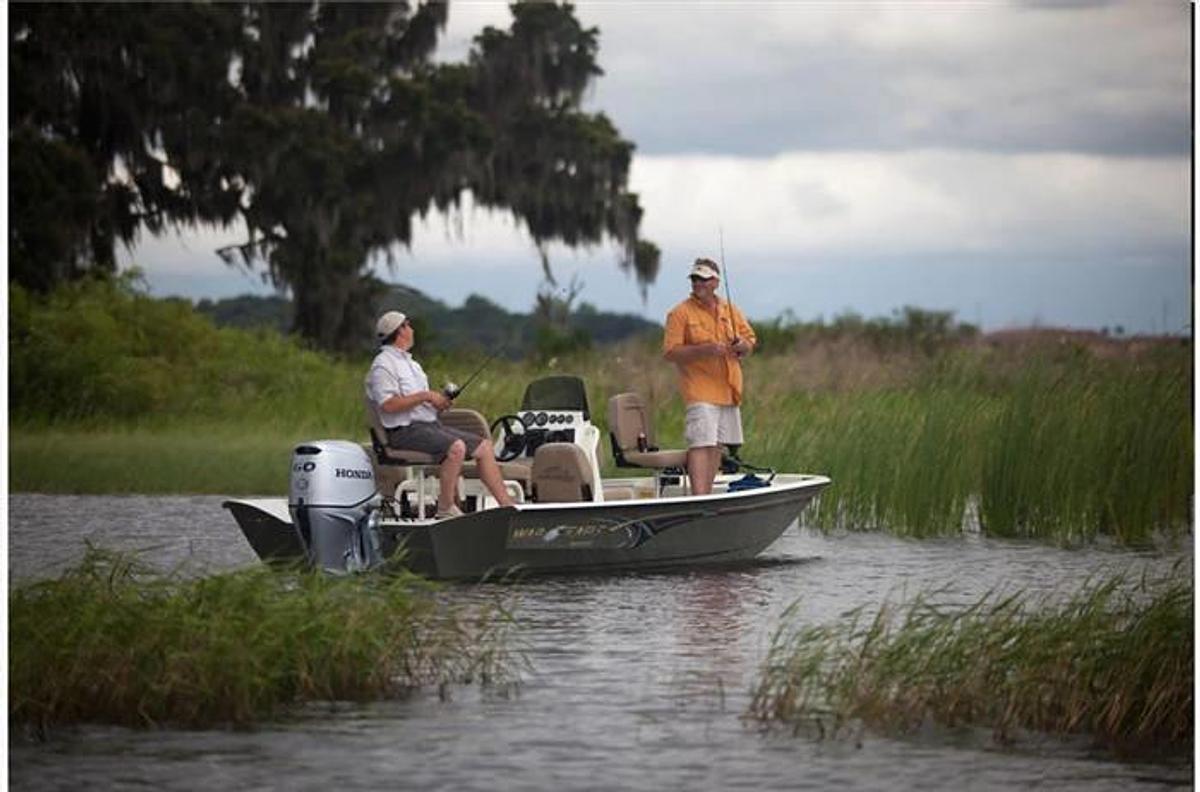 Honda Marine BFP60 L-Type, 20 in. Shaft