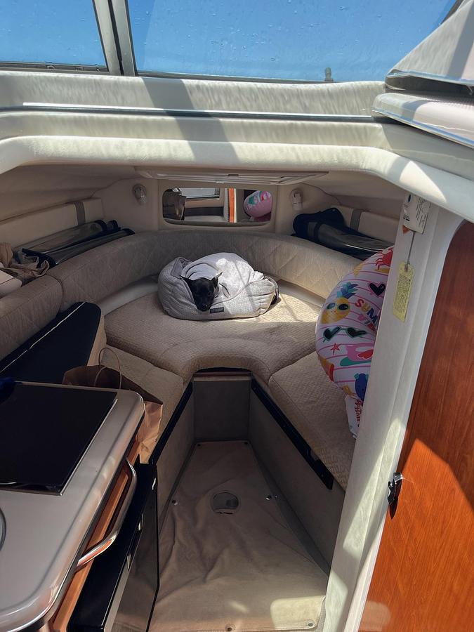 Used 2006 SeaRay 240 Sundancer
