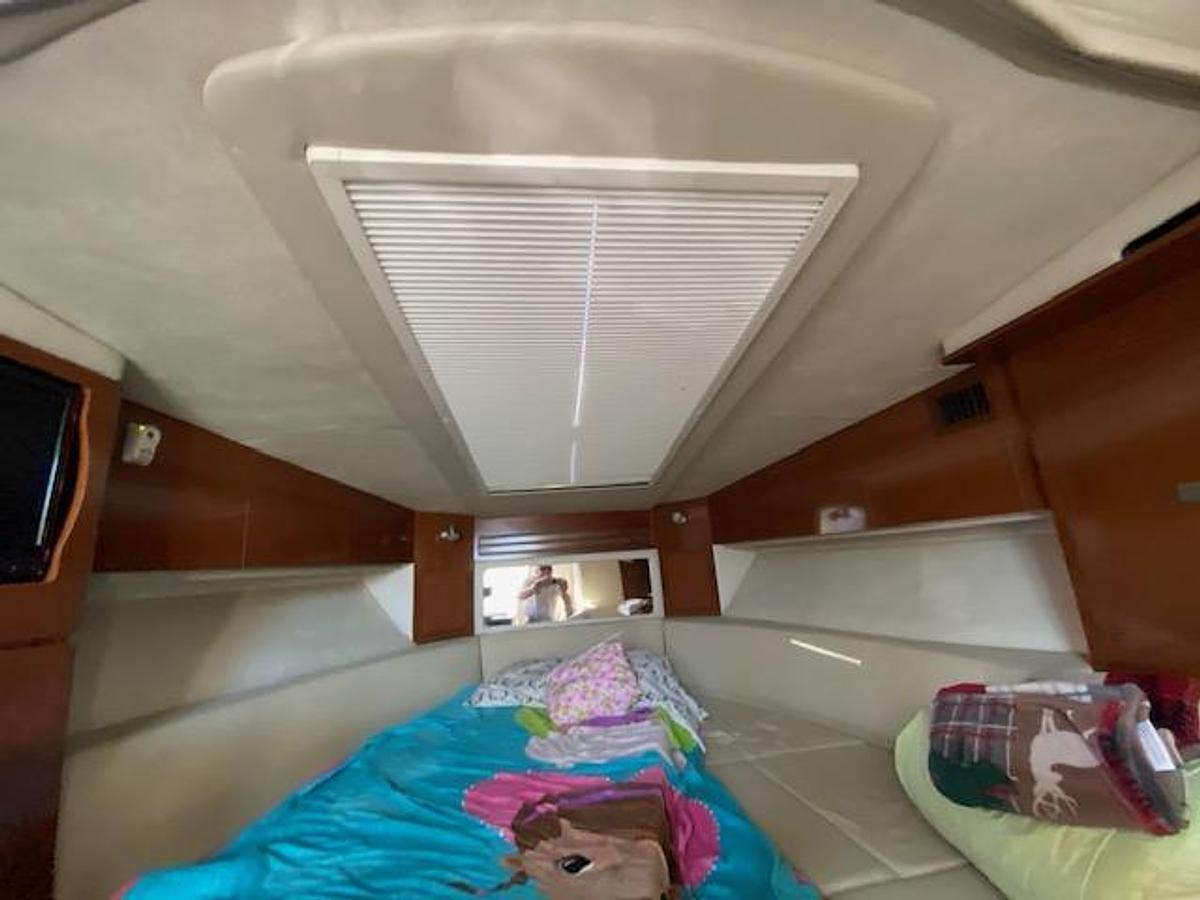 Used 2010 Sea Ray 310 Sundancer