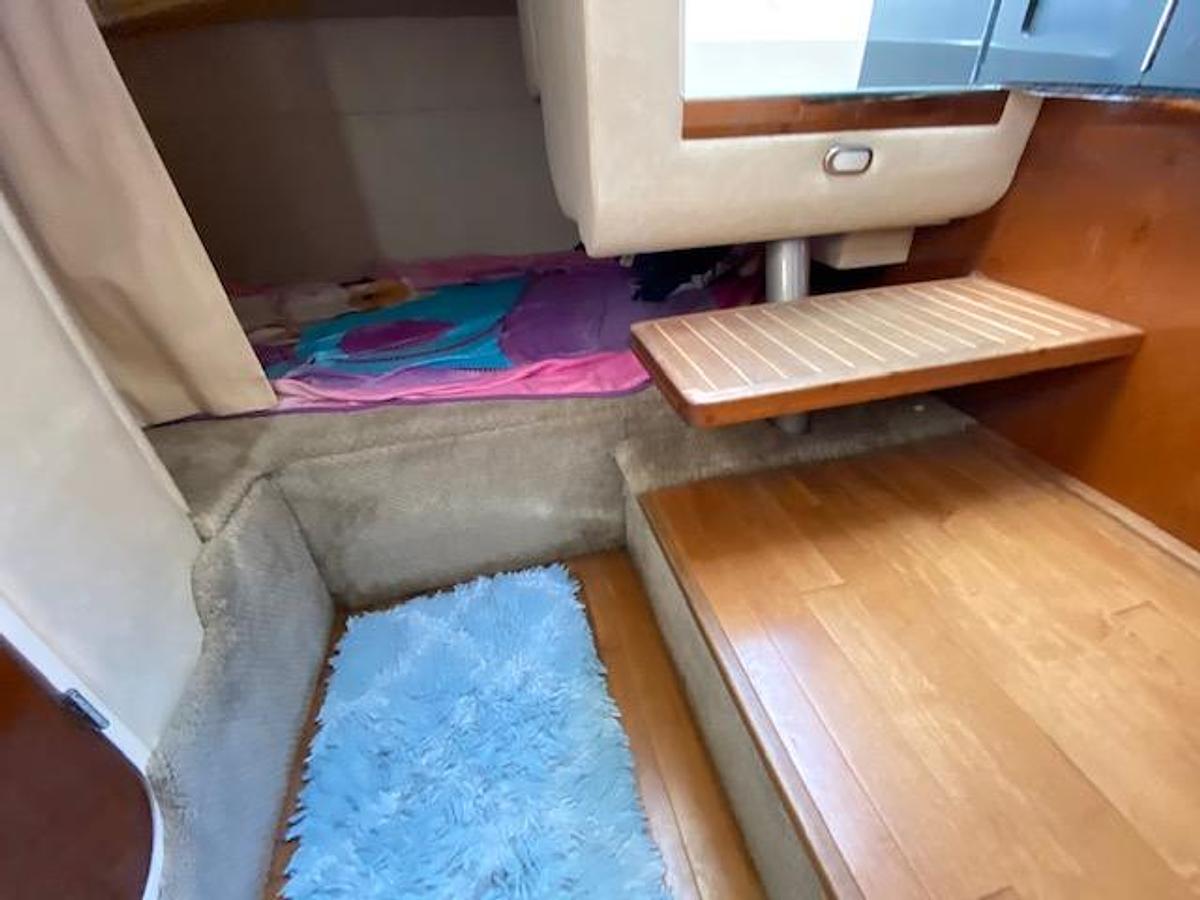 Used 2010 Sea Ray 310 Sundancer