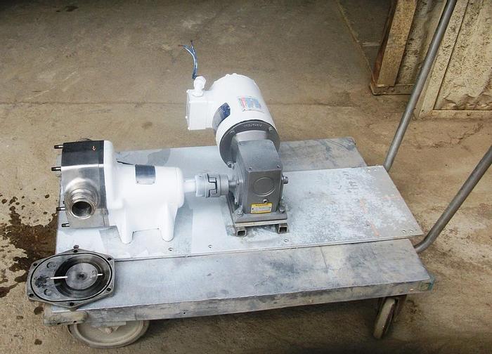 Used Pump, Positive, Sta-Rite, S/st, 1 HP, 2" #S741950