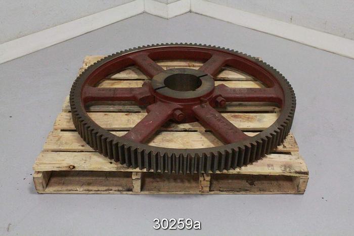 Used Lawton 116 Teeth Dryer Gear #30259