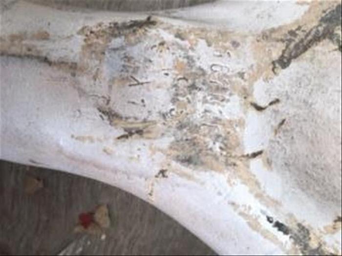 Used Drill Collars & Pipe