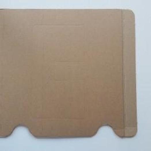 BrianPack FEEDER CONVEYOR BP 1801