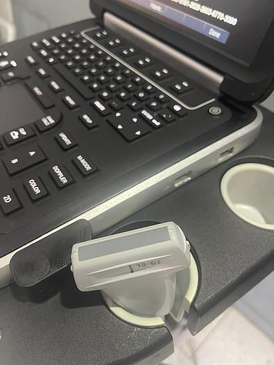 Gebraucht Sonosite Edge Ultraschallgerät inkl. 2 Sonden und Sony UP-D897 Drucker