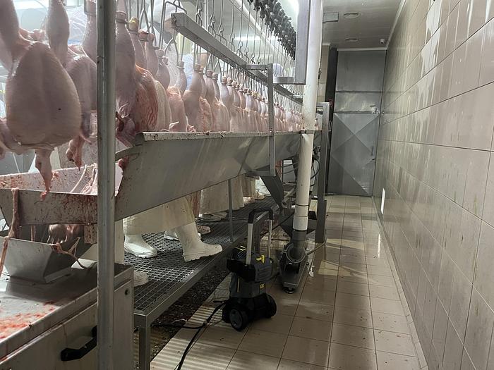 Used LINCO Evisceration line