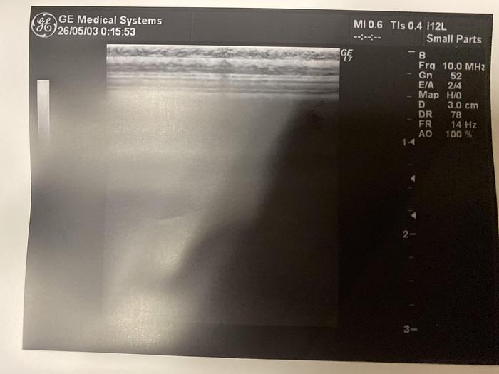Gebraucht GE i12L linear Sonde