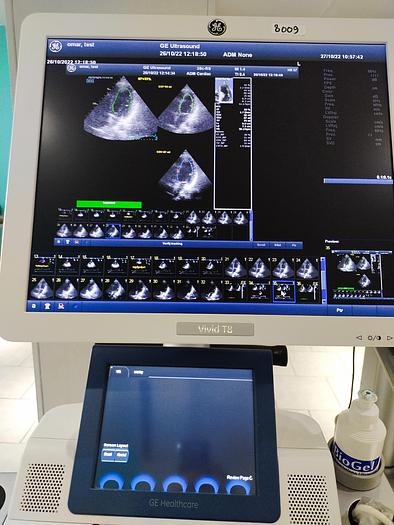 Gebraucht GE Vivid T8