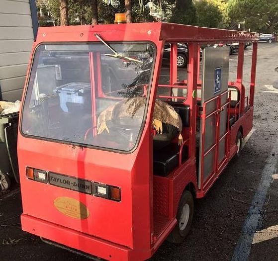 Used Taylor Dunn Ambulance - 7 Passenger