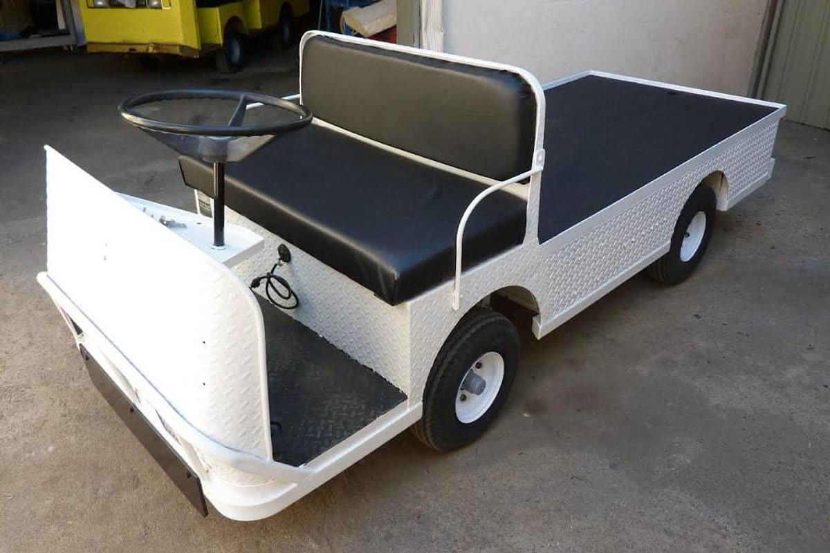 Used Taylor Dunn B248 Burden Carrier