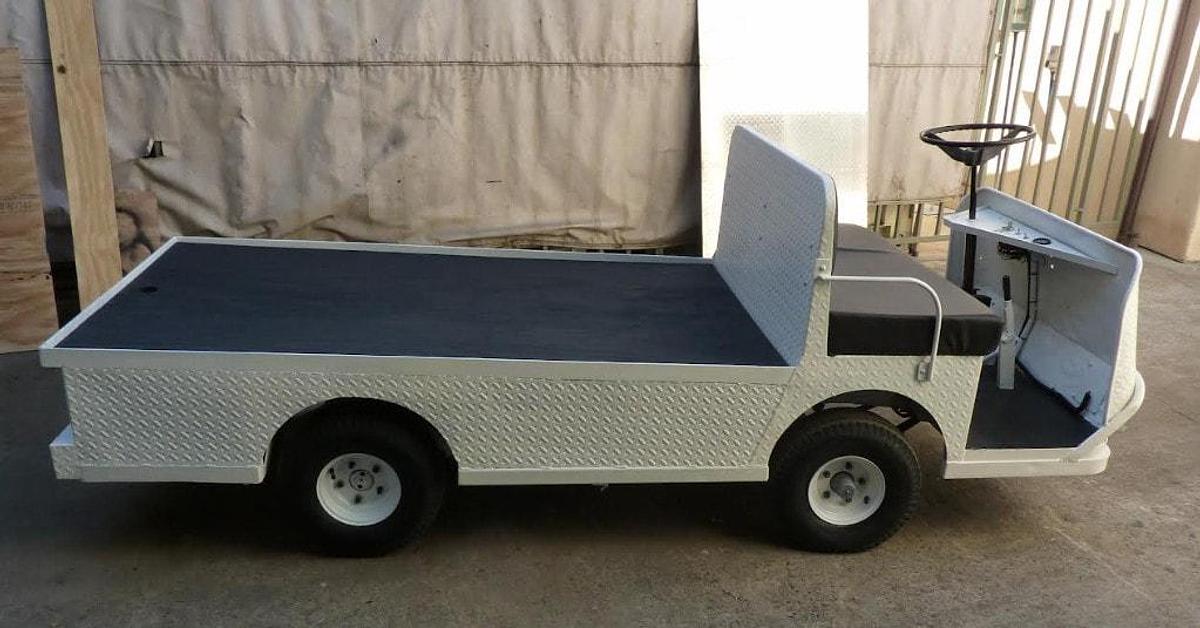 Used Taylor Dunn B248 Burden Carrier