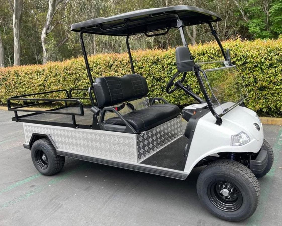 Used NEW Evolution Turfman 1000