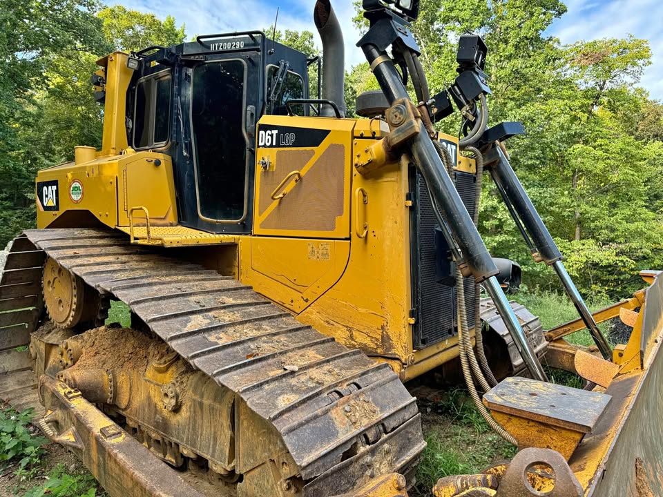 D6T
