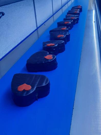 Used 2016 Selmi Cooling Tunnel