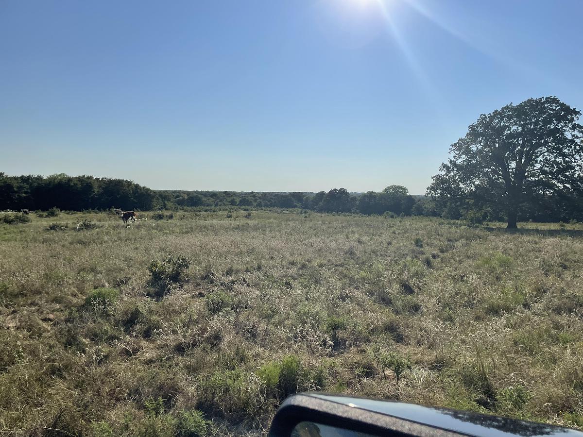 2025 220 acres land Land