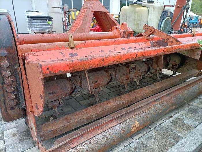 Usato Triciastocchi Meritano