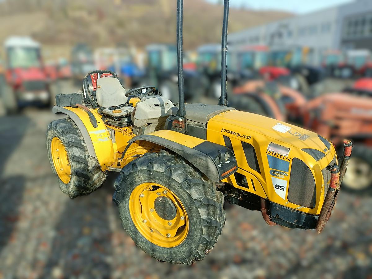 Usato 2006 Pasquali Orion 85 dualsteer