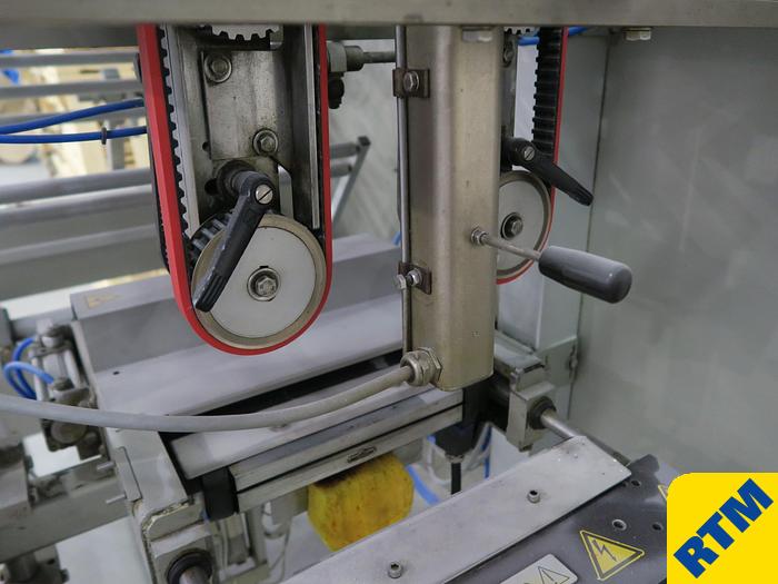 Used Bagging Machine