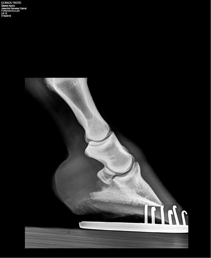 2024 PIXXGEN PRUDENT 1212