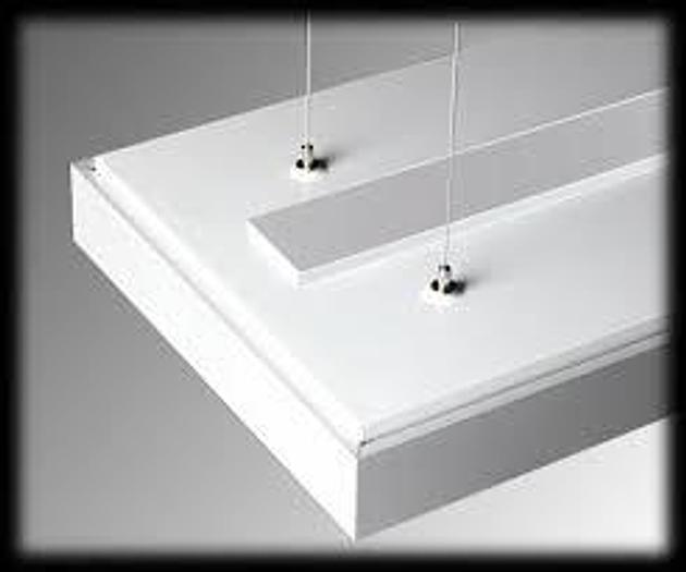 New F&P Whatever your Product ...