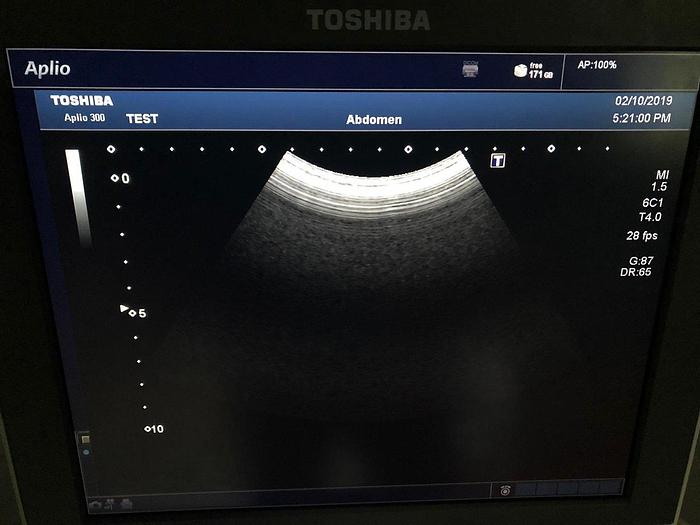 Gebraucht Toshiba Aplio 300 Ultraschallsystem mit 3 Sonden