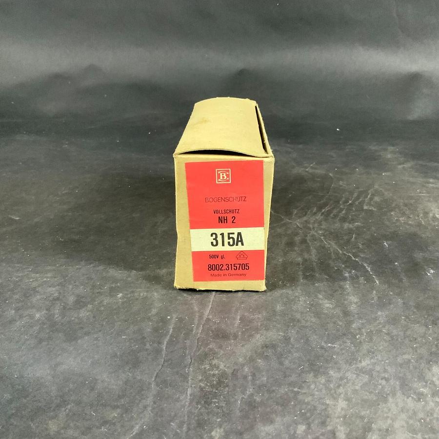 BOGENSCHUTZ NH2 8002 315A FUSE ($25 OBO)