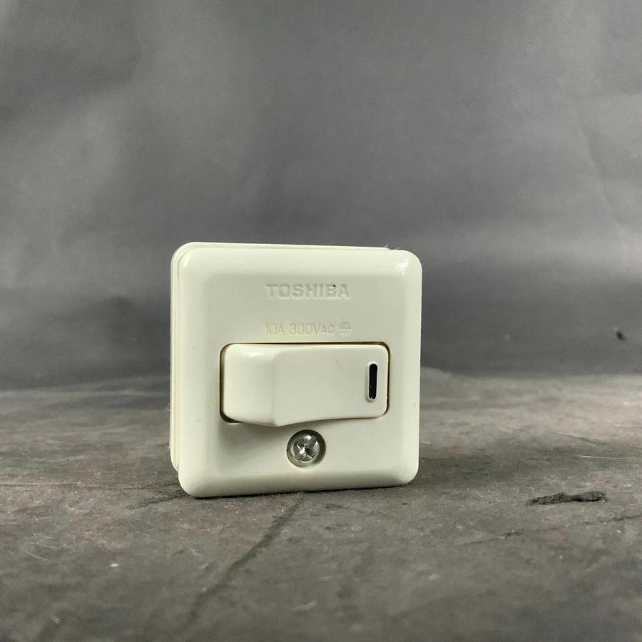 Used TOSHIBA DS-1071 EXPOSED SWITCH ($7 OBO)